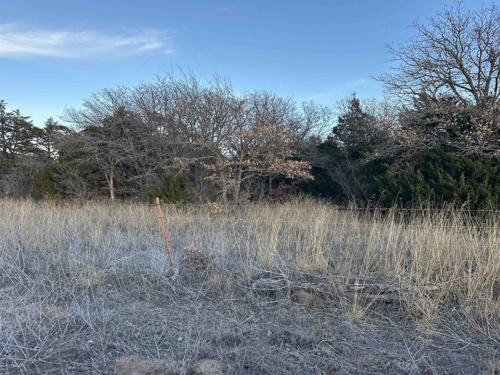 Listing photo 14