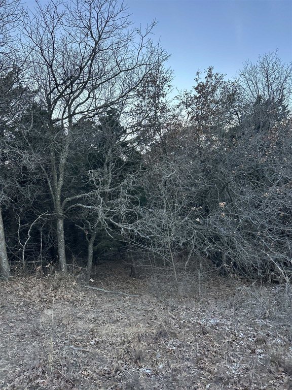 Listing photo 17