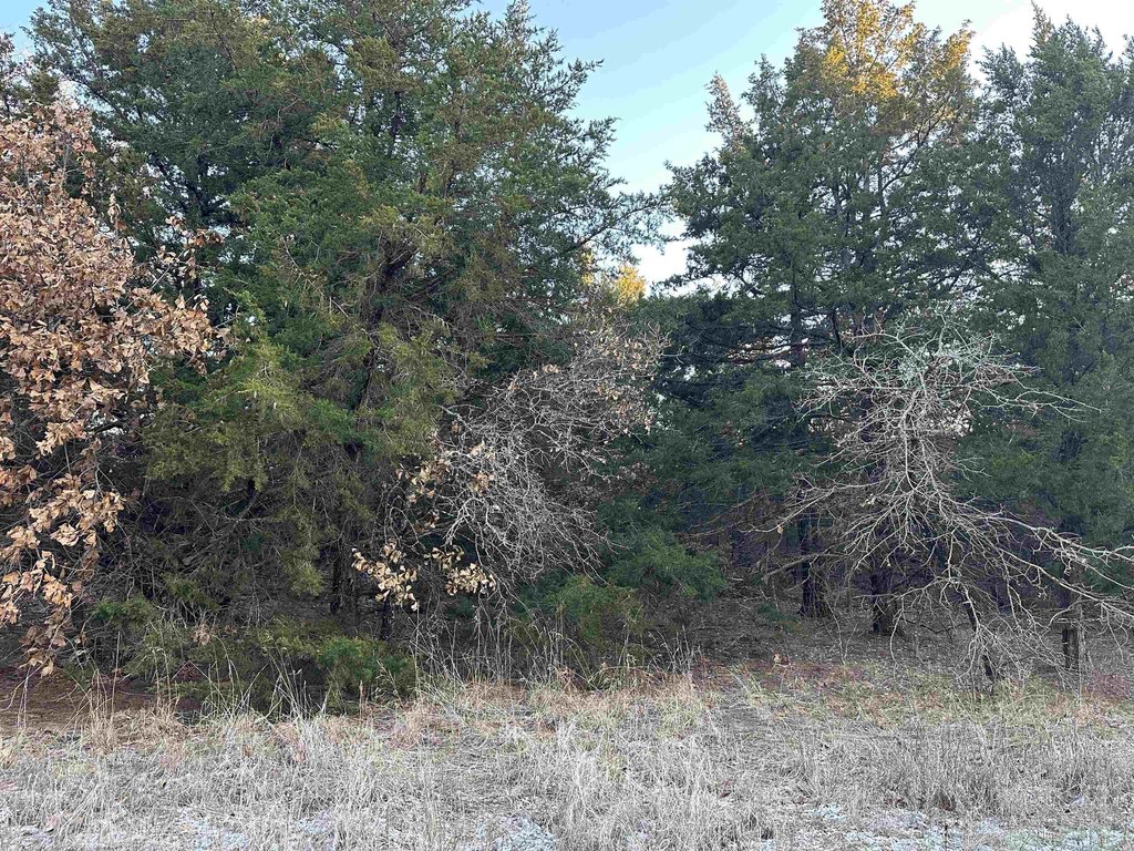 Listing photo 20